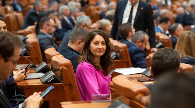 usr ancheta penala doctorat ciuca