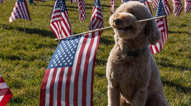 batalie documente clasificate gasite biden trump alegatori sua