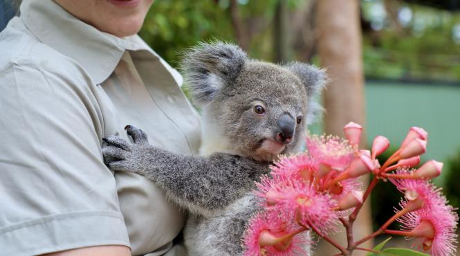 horoscop zilnic 31 ianuarie 2023