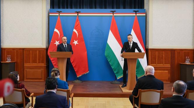 ungaria critici suedia turcia