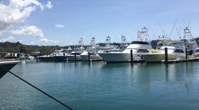 costa rica pescuit turistic pacific jaco