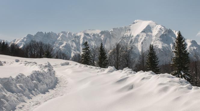 ninsoare puternica salaj bihor