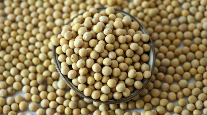 beneficii consum zilnic soia colesterol menopauza cancer