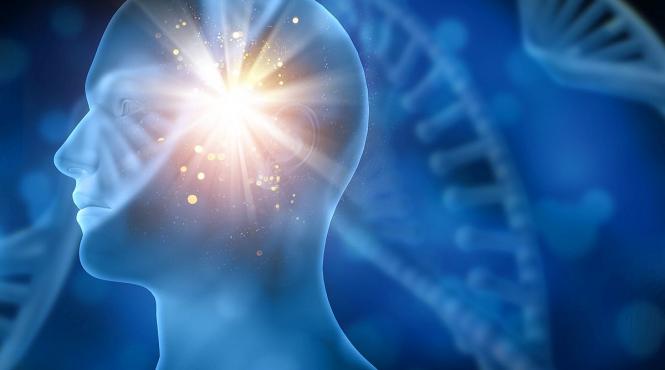 mintea umana niveluri perfectiune