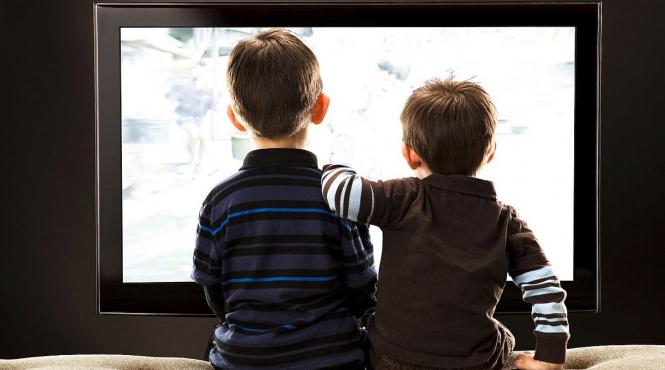 proiect act normativ corect senatori usr contradictie directive uniunea europena