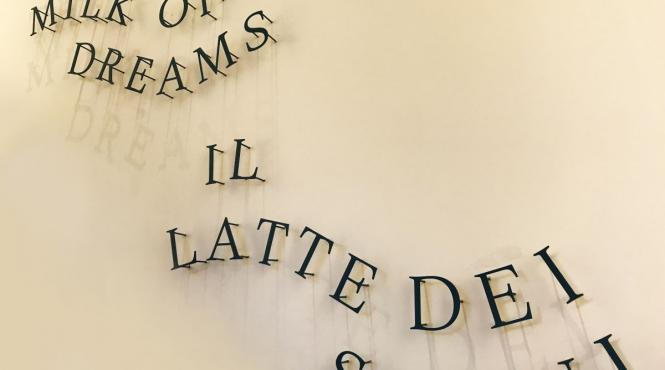 scemtovici benowitz gallery programul insideart