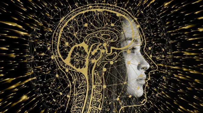 alimente creier destept