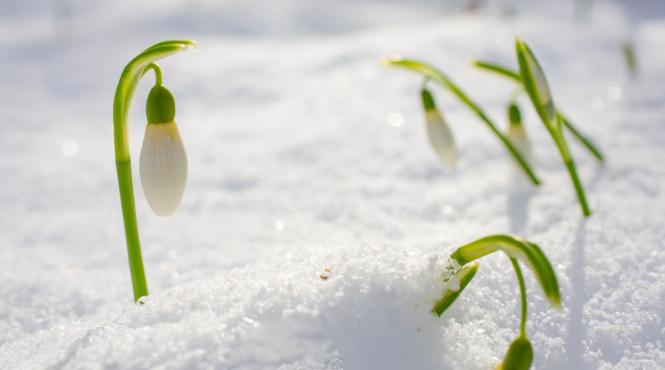 prognoza anm cald primavara