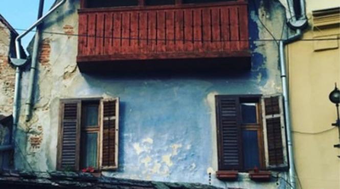 scriitor dinu flamand turneu mexic icr