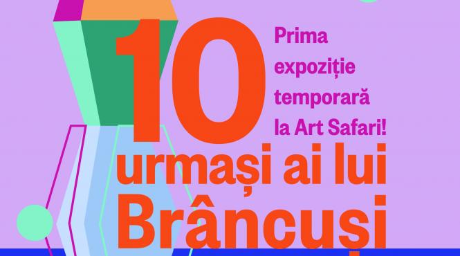 art safari sezon brancusi