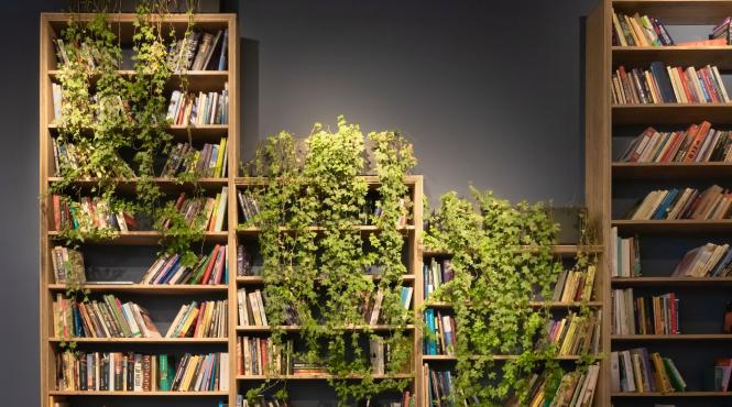 carti vechi biblioteca anticariat