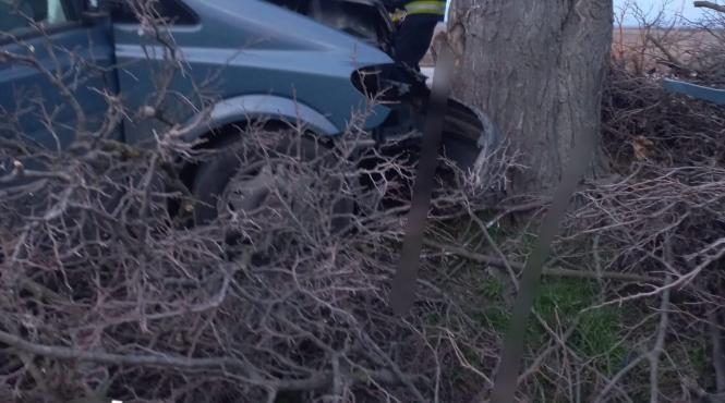 accident microbuz mehedinti