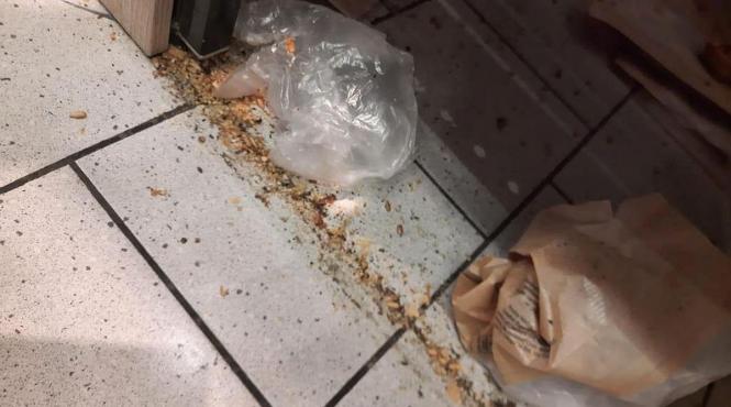 mizerie zona panificatie vitrine congelare magazine lidl delfinariu navodari