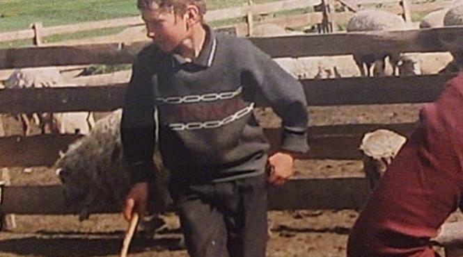 mihai caz sclavie extrema sinucidere