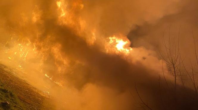 incendiu violent vaslui