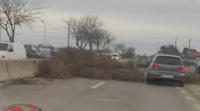 ciulini vant circulatia galati