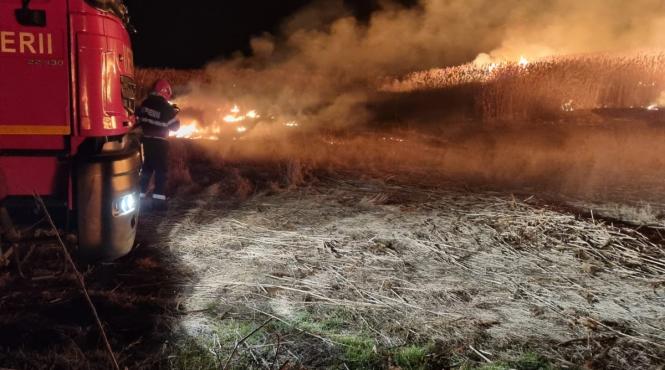 sute hectare ars incendii tulcea