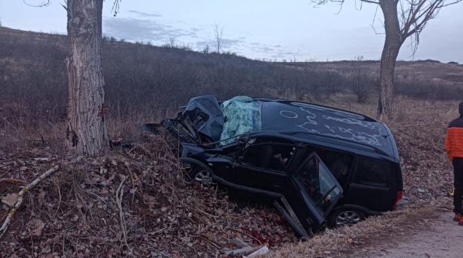 accident dolj dj 606 c gogosu