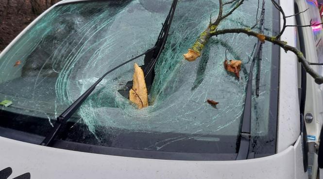 un copac a cazut peste o masina aflata in mers in sighisoara