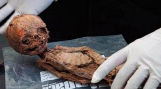 mumie veche geanta televizor