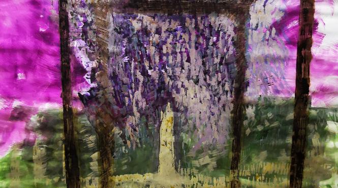 umbra cuvintelor tnb expozitie