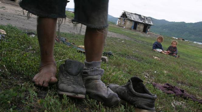 observator national copil vot deputati