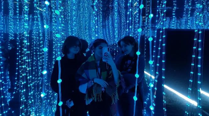 ce mai poti descoperi la art safari 5 hidden gems