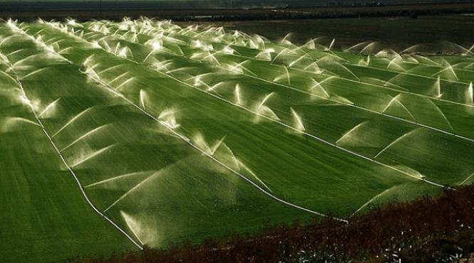ministerul agriculturii campanie irigat olt