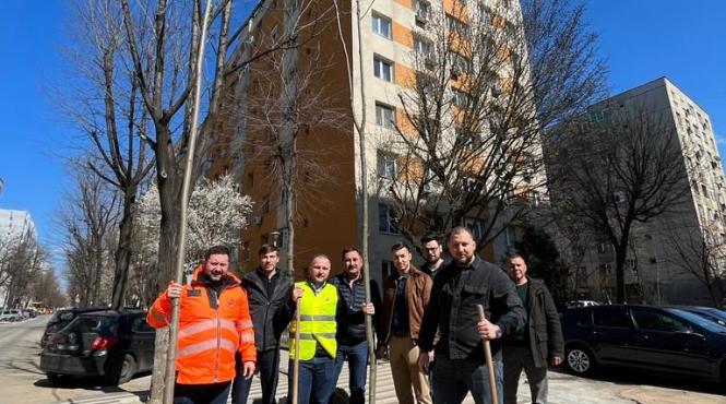 tei platani stejari plantati sectorul 5 rares hopinca