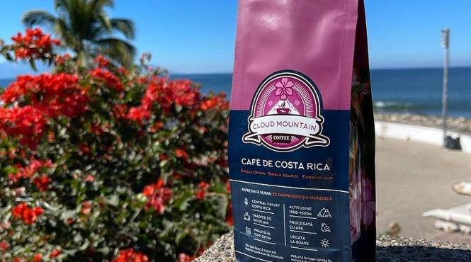 cafea piata desfacere gust client