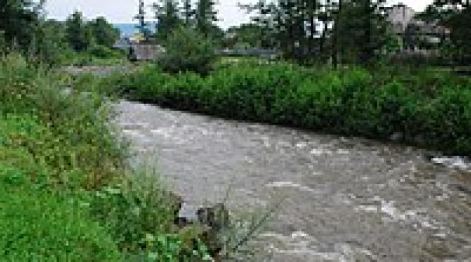 tanar ucraina disparut maramures inot rau tisa