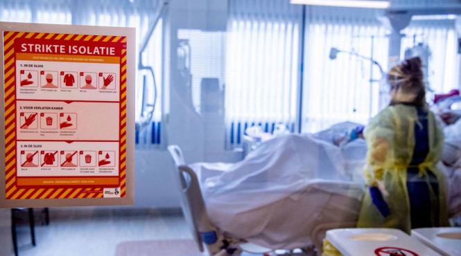 ciuperca candida auris spitale mortala rezistenta medicamente