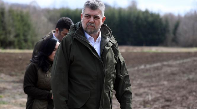 taierile ilegale padure pedepsite precum coruptia