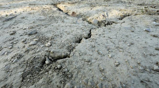 romania strategie antidesertificare