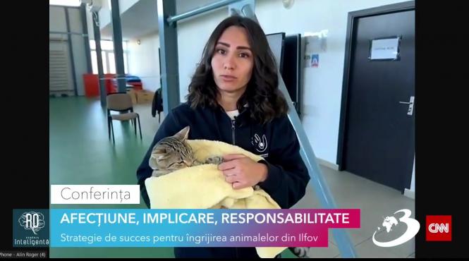 anca stoenescu consilier protectia animalelor saptamanal avem campanii de sterilizare gratuite atat pentru caini cat si pentru pisici