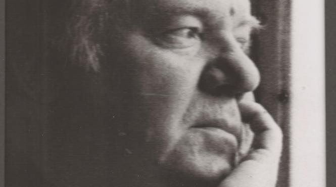 fanus neagu ingerii spritul verbul agatator