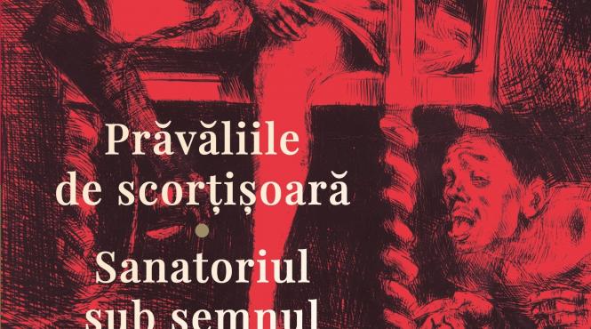 bruno schulz scriitor traducere limba romana