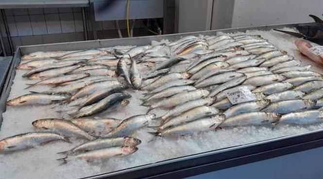 inspectori sanitari veterinari amenzi unitati comercializare procesare peste