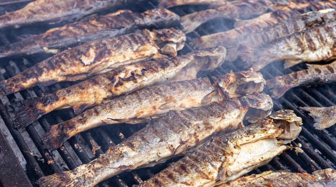 festivalul scrumbiei galati traditional