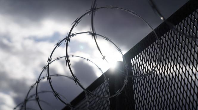 finlanda incepe constructiw grad sarma ghimpata rusia