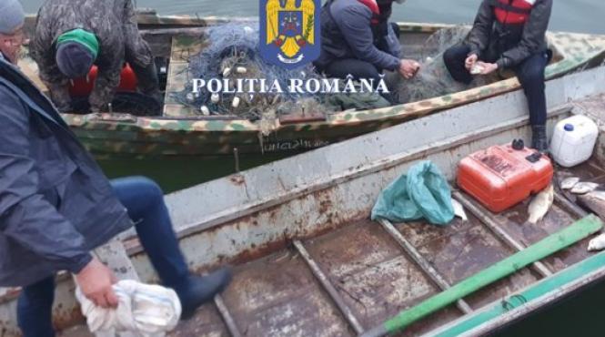 verificari dunare marinari bauti absenti bord pescuit ilegal scrumbie