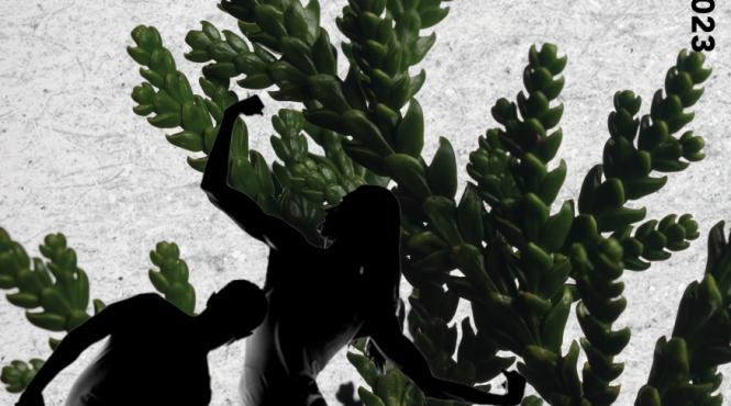 teatrul balet sibiu invitat festival international poznan