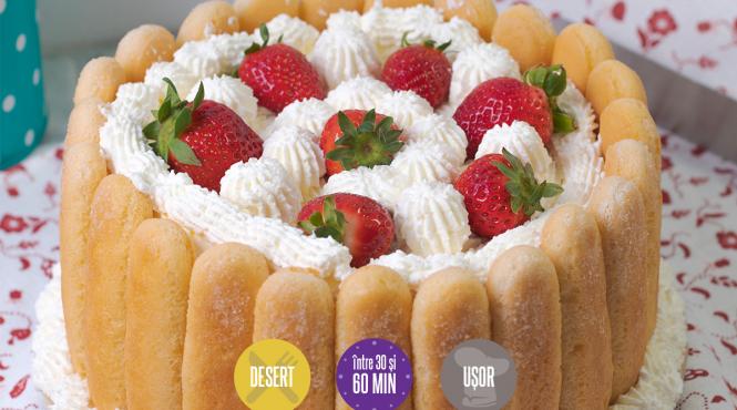 tort diplomat deliciu reteta simpla fara coacere sarbatoare