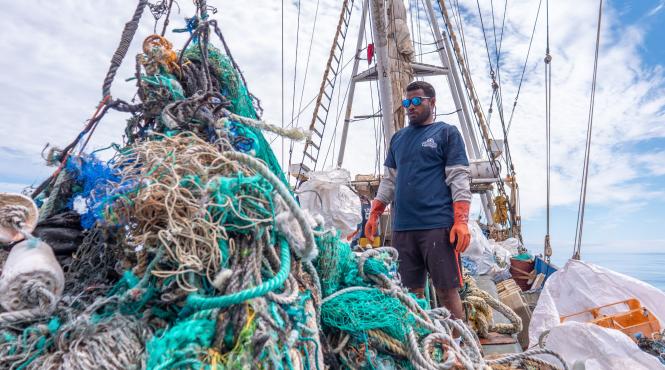 insula gunoaie pacific ecosistem