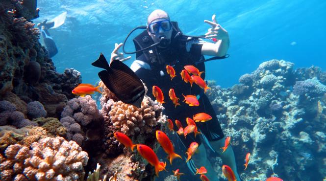 atractiile planetei sharm el sheikh paradisul amatori scufundari aventuri desert
