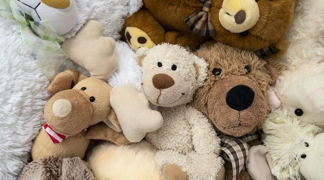 animalele plus bacterii