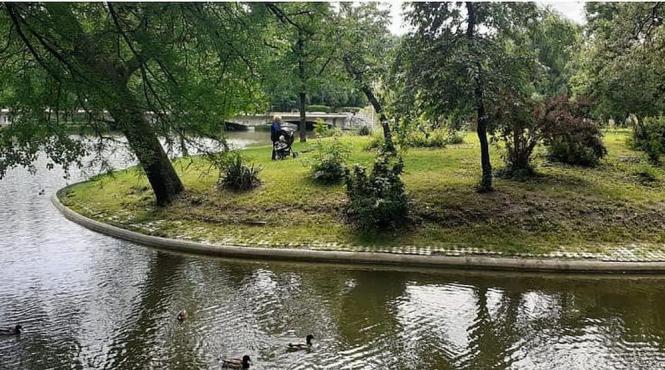 parc irigatie capitala