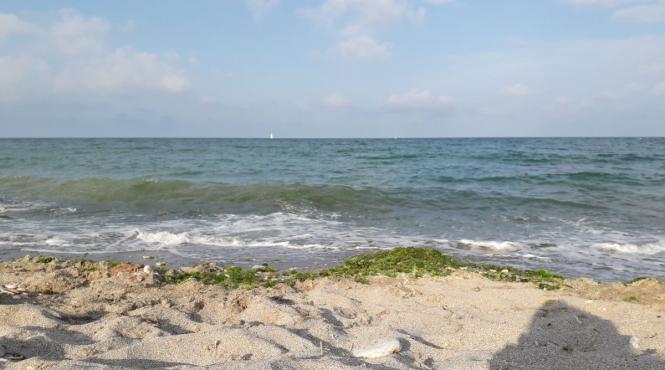 litoral sezon estival 2023 plaje murdare