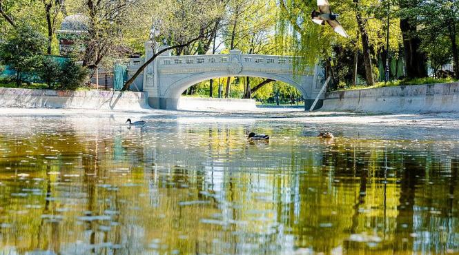 podul mare cismigiu reabilitare