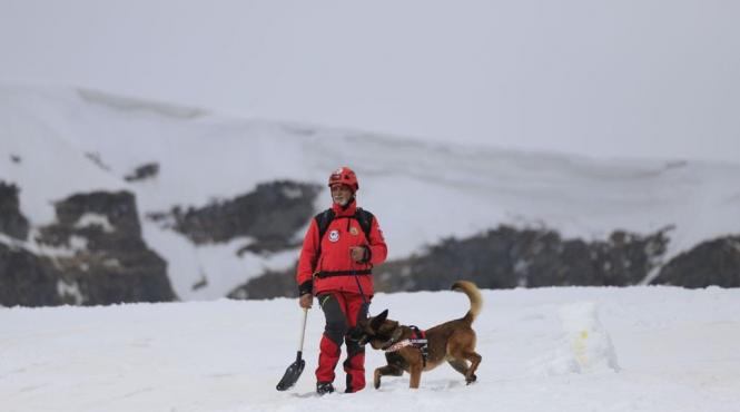 avalansa maramures turisti polonezi